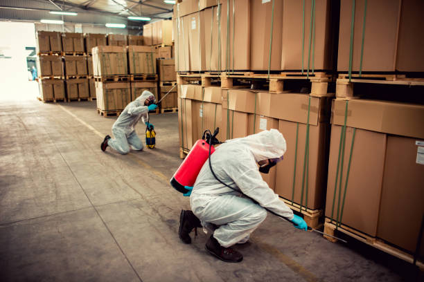 Best Affordable Pest Control Services  in Medford, MA