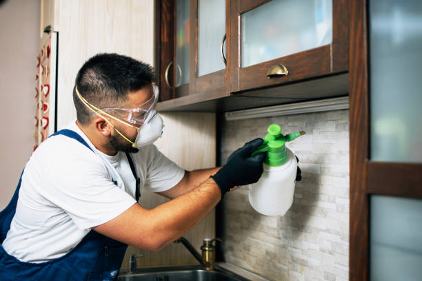 Reliable Medford, MA Pest Control Solutions