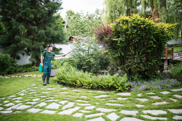 Best Commercial Pest Control Services  in Medford, MA