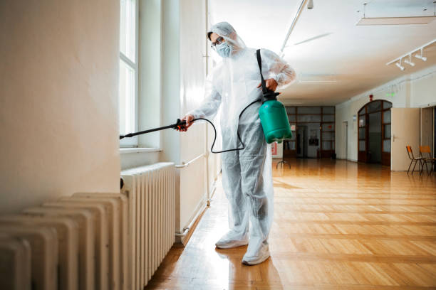 Best Termite Control Services  in Medford, MA
