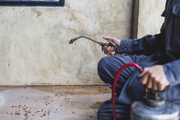 Best Pest Prevention Services  in Medford, MA